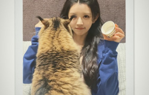 田曦薇最火的十部电视剧中哪部热度最高？