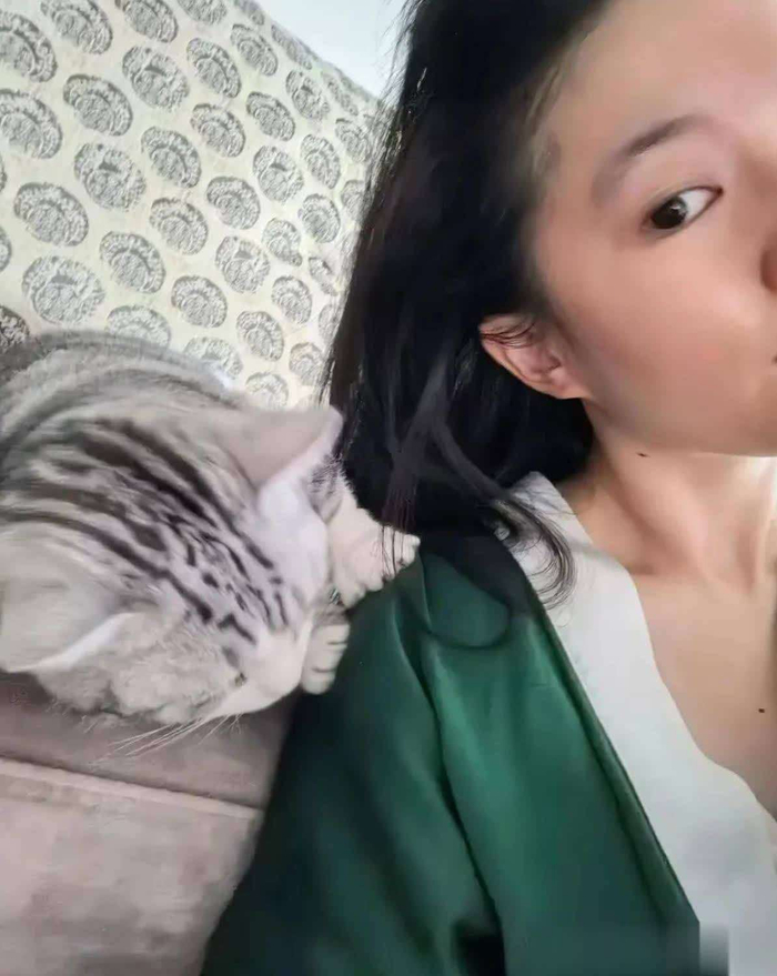 这些社死瞬间，不仅没有让她失去粉丝，反而让她看起来更加真实、鲜活和可爱。如今的她，因为这些猫咪，成了邻家那位温柔善良、偶尔有些狼狈但无比真实的漂亮姐姐。她的形象更具亲和力，仿佛就是那种生活中会与猫咪一起打闹、一起笑的普通人，而非遥不可及的明星。